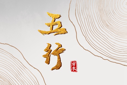 紫微抖数排盘 连山易命盘解析 命盘神煞查询 八字基本命盘查询 测紫薇命盘详解 紫微星预言原文